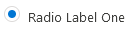 state concept on a Radio Button component in Lightning Design System.